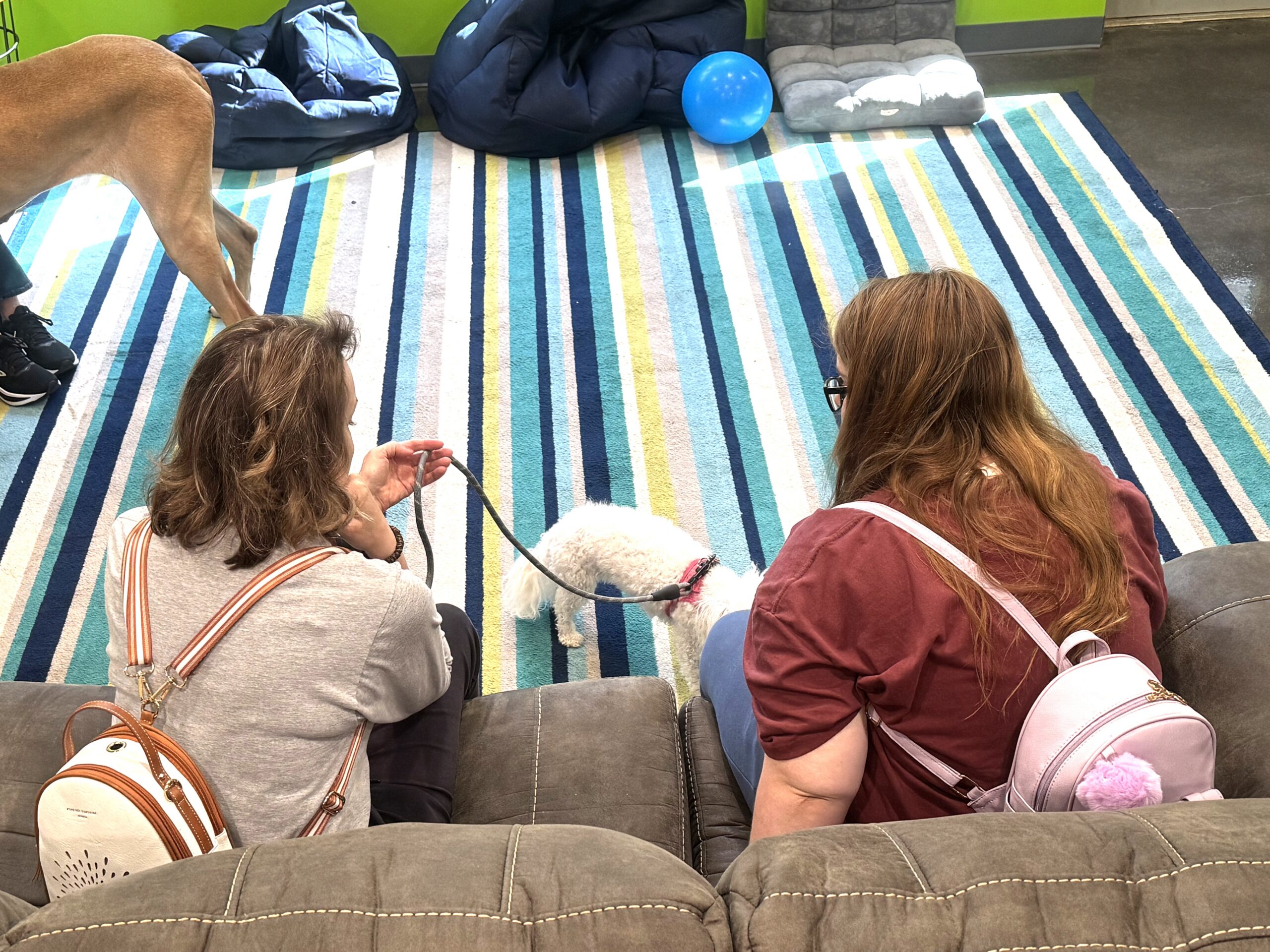Pet therapy at Children's Attention Home